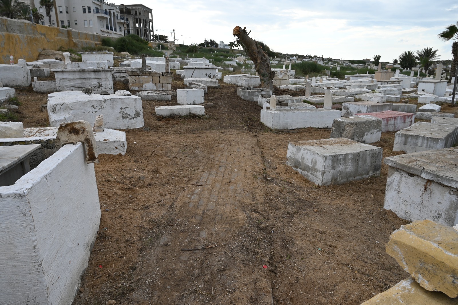 WhatsApp Image 2022-11-30 at 3.24.38 PM.jpeg